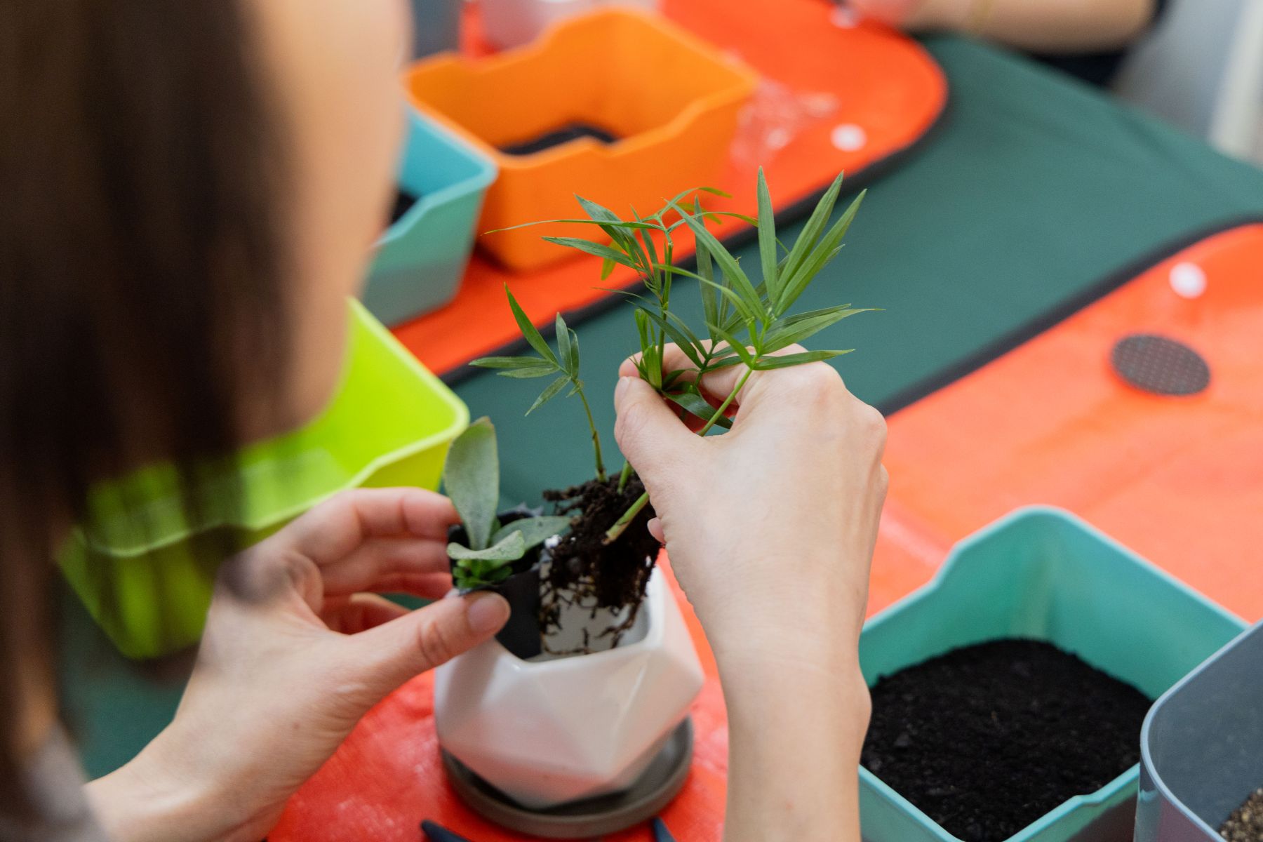 Q1 2026 GPP Academy 6