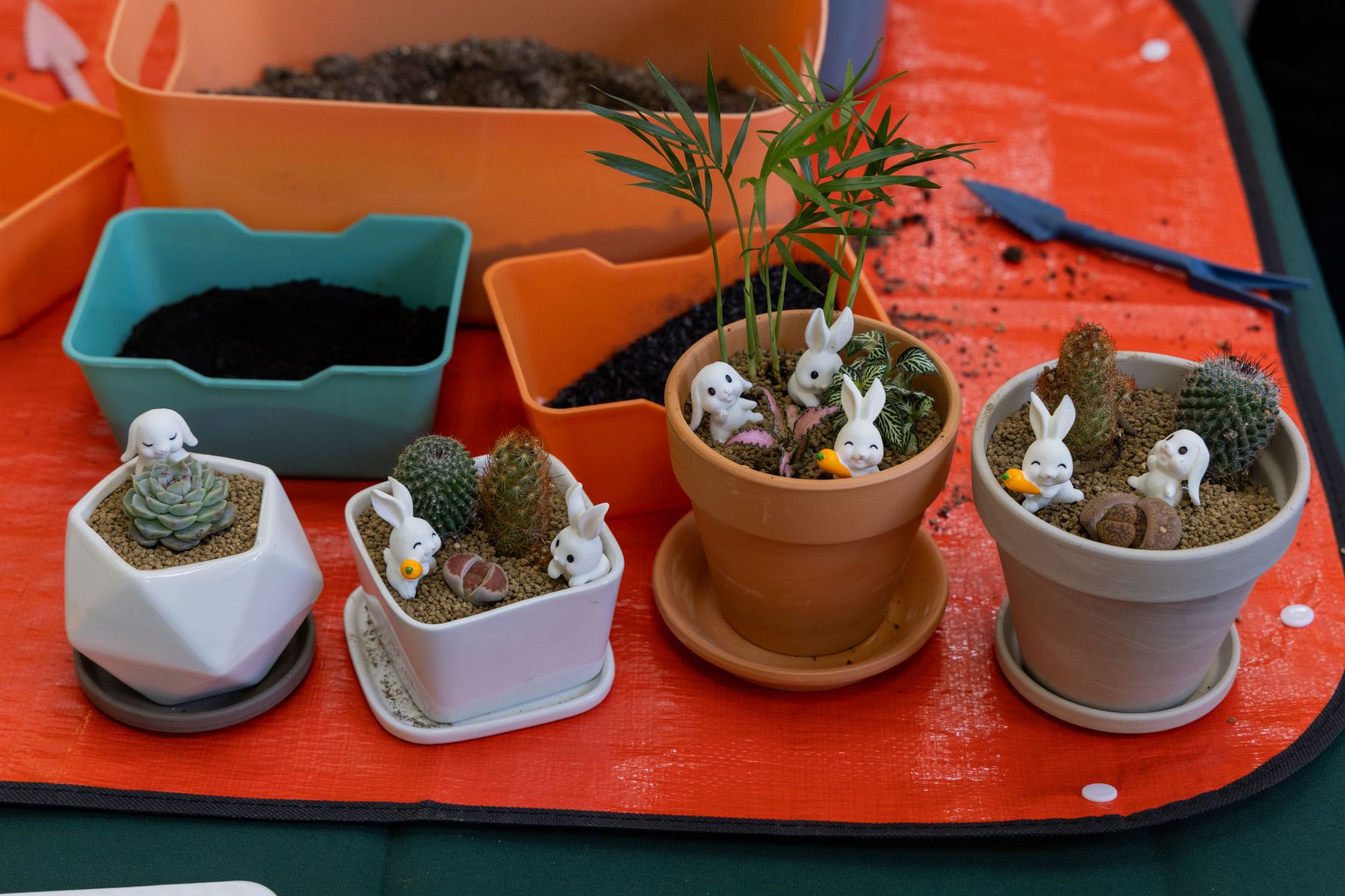 Q1 2026 GPP Academy 8