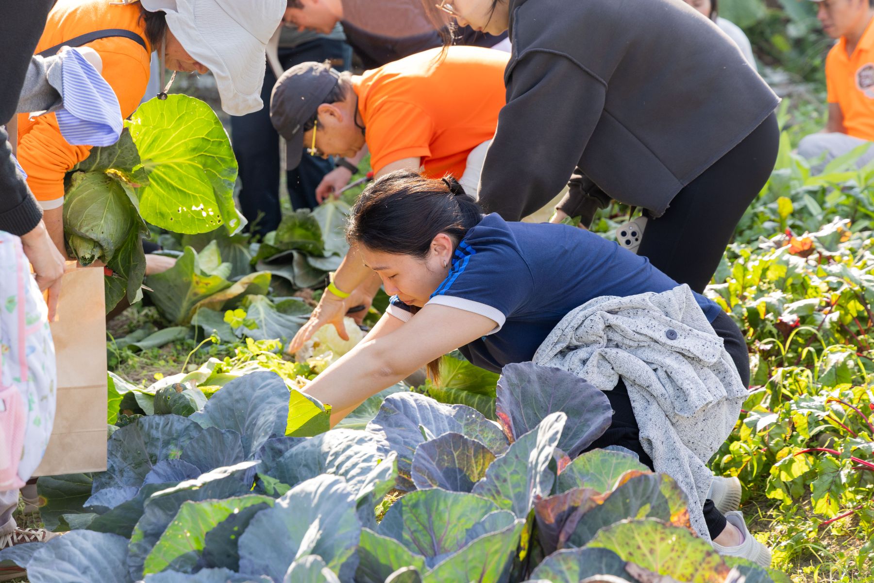 Q1 2026 GPP Academy 5