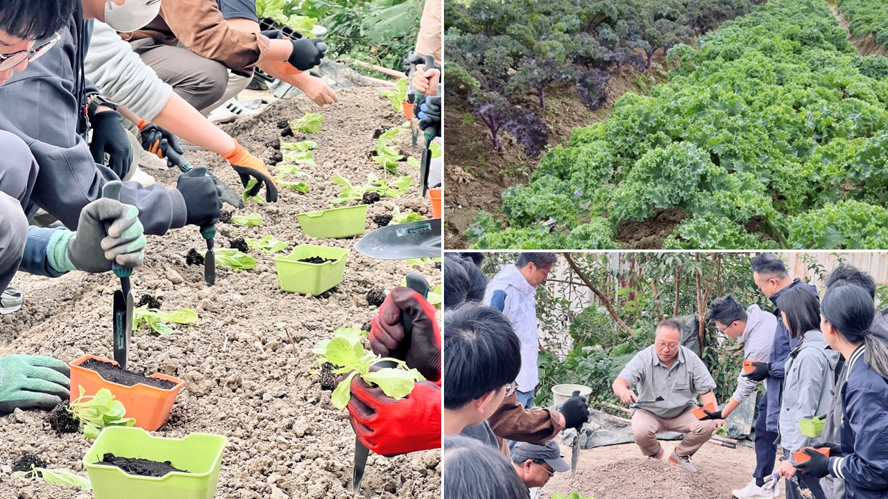 GPP Academy – Closing the Loop: Circularity Tour at Mindfield